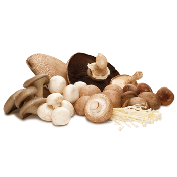 Funghi freschi siciliani