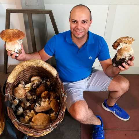 Raccolta funghi freschi dell'Etna Raccolta funghi freschi dell'Etna