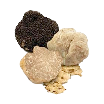 Tartufo bianco e nero in Sicilia