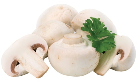 Funghi Champignon congelati di Sicilia