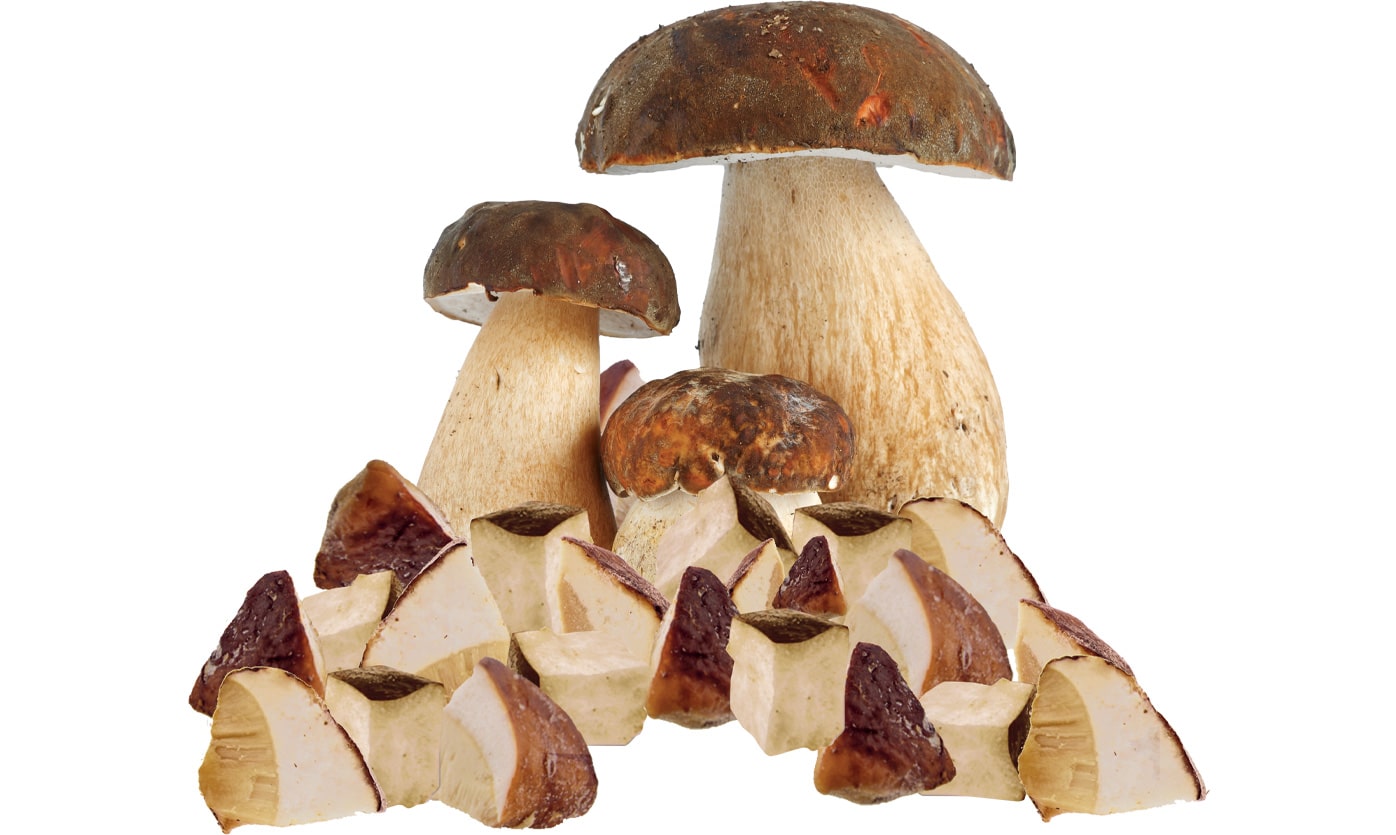 Funghi Porcini a cubetti congelati
